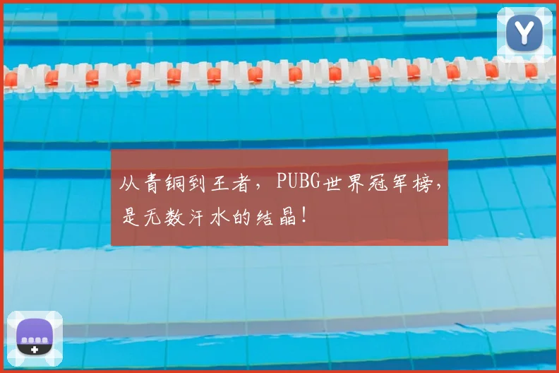 从青铜到王者,PUBG世界冠军榜,是无数汗水的结晶!