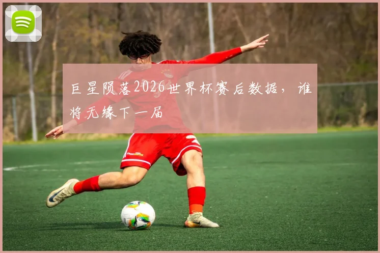 巨星陨落2026世界杯赛后数据,谁将无缘下一届